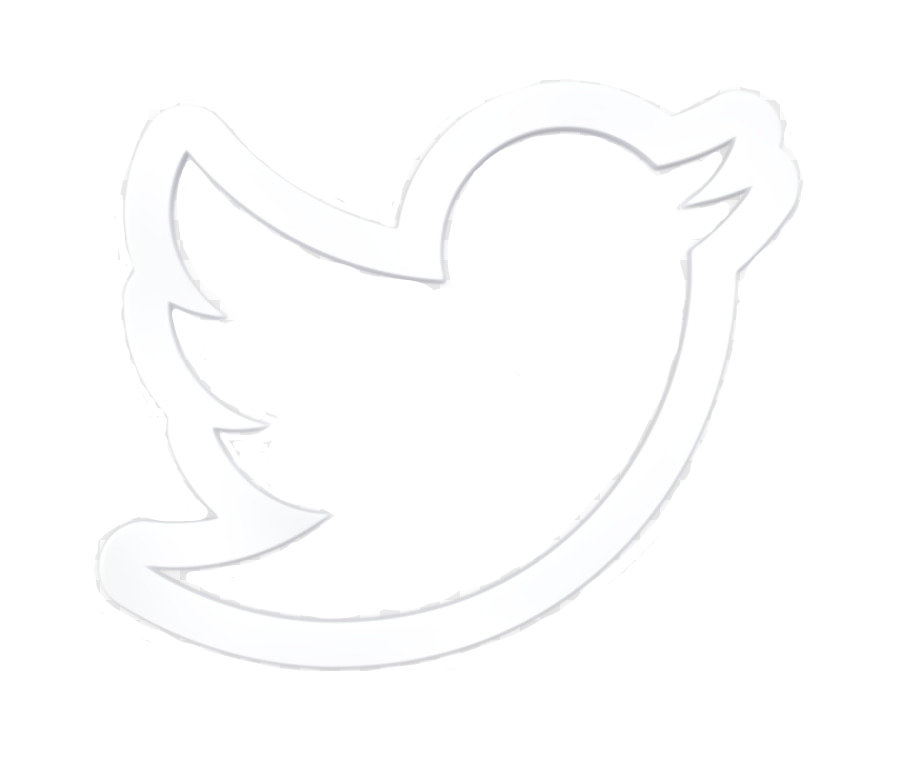 Twitter Icon